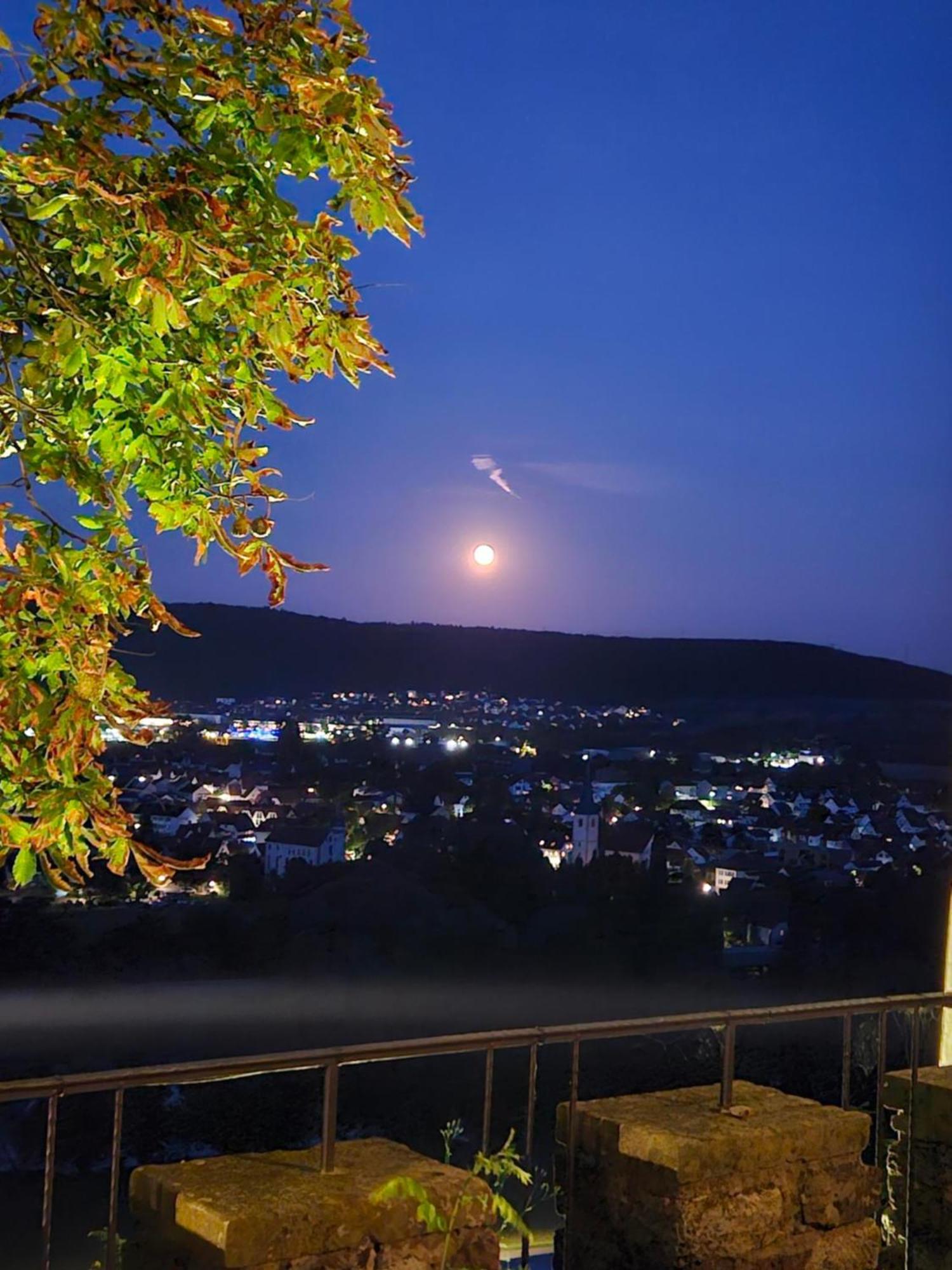 Eventlocation & Hotel Schloss Neuburg Obrigheim Εξωτερικό φωτογραφία